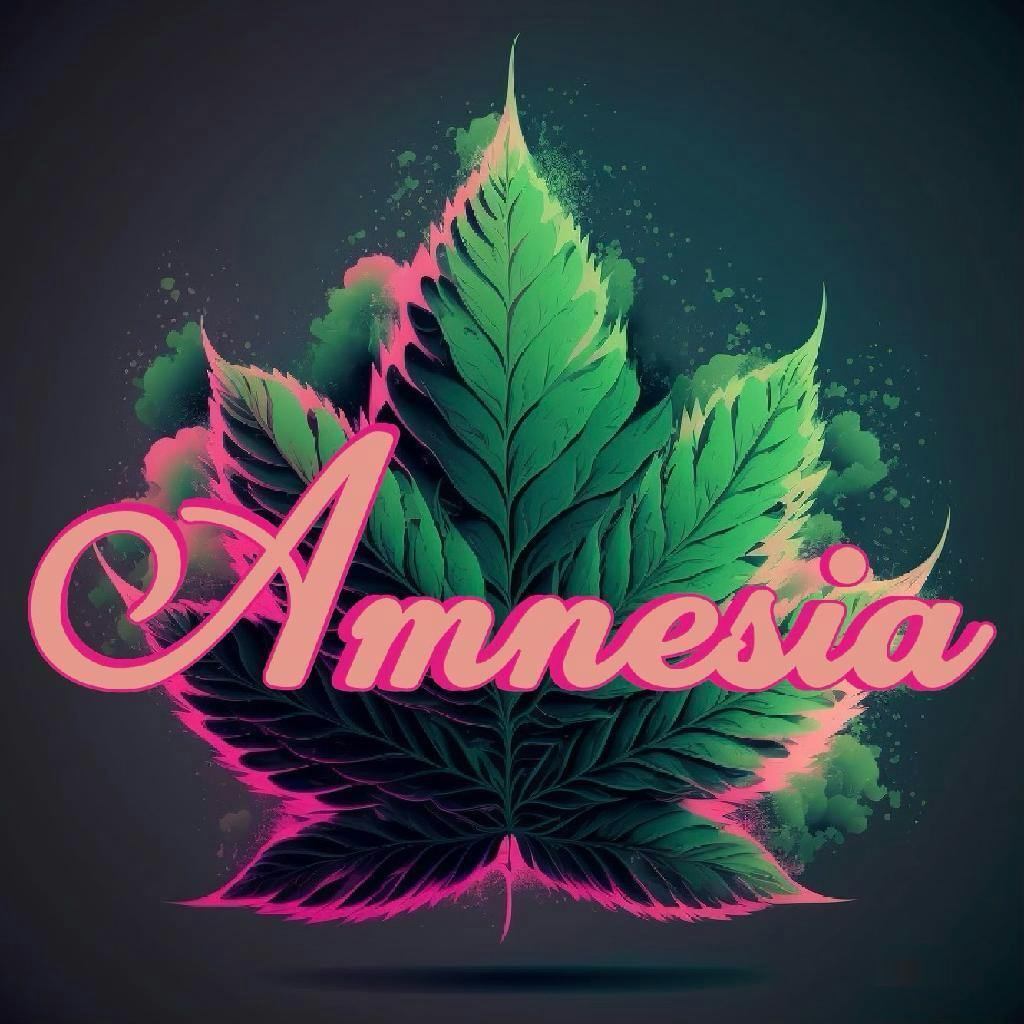 AUTHENTIC ANMESIA CARTRIDGES Image